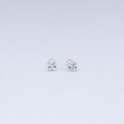 Vanika Princess-Cut Radiance 925silver Stud Earrings